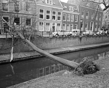 855367 Afbeelding van een omgewaaide boom op de talud van de Nieuwegracht te Utrecht tegenover het pand Nieuwegracht ...